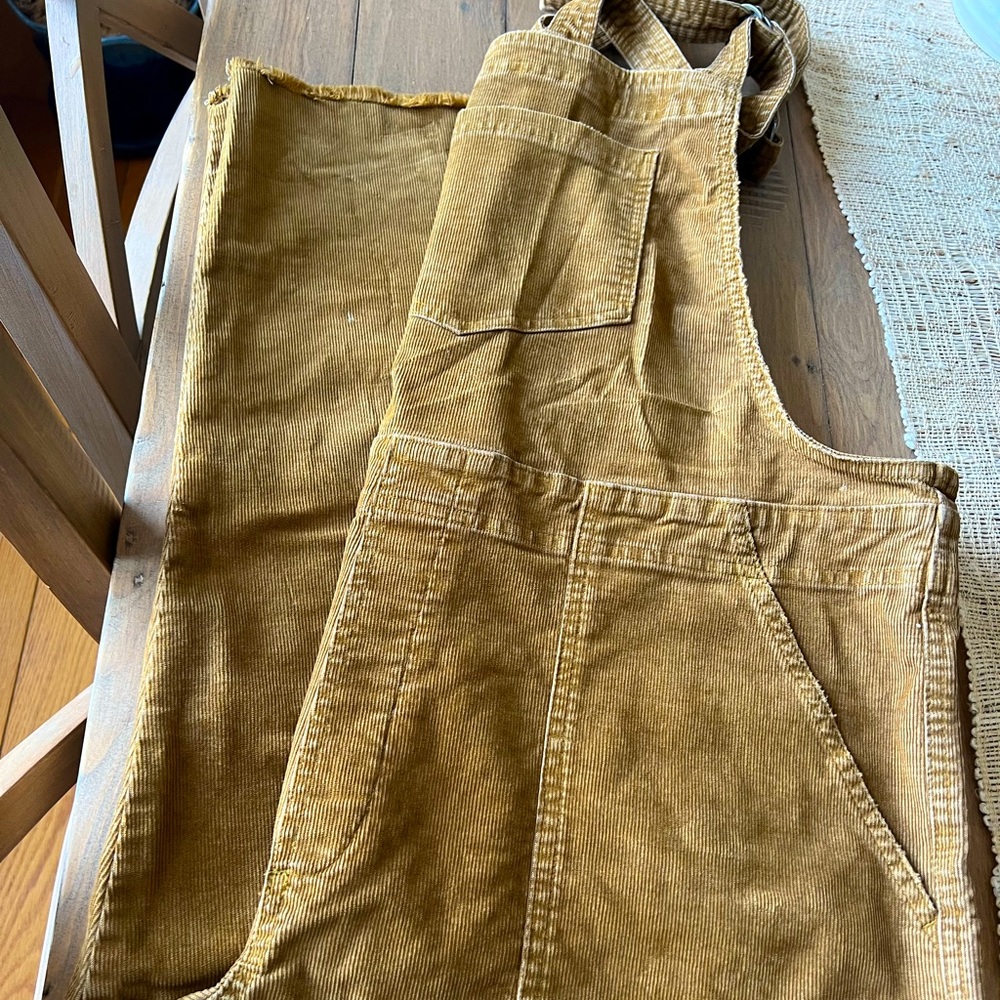 Aerie Overalls